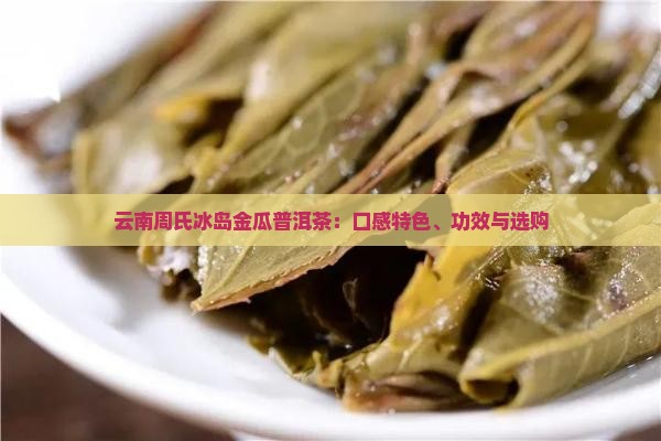 云南周氏冰岛金瓜普洱茶：口感特色、功效与选购