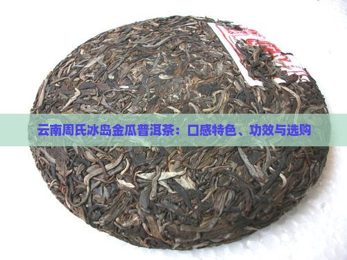 云南周氏冰岛金瓜普洱茶：口感特色、功效与选购