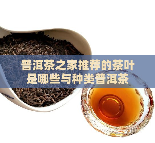 普洱茶之家推荐的茶叶是哪些与种类普洱茶