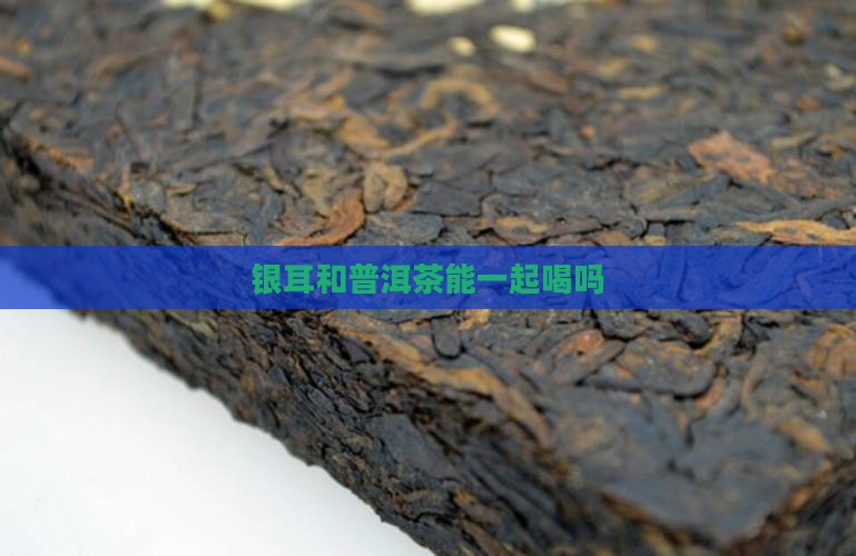 银耳和普洱茶能一起喝吗