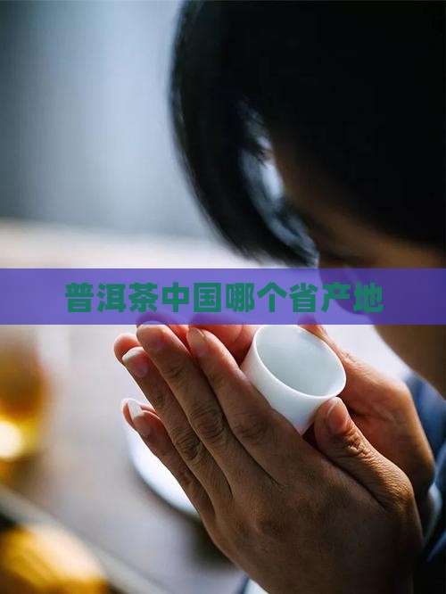 普洱茶中国哪个省产地