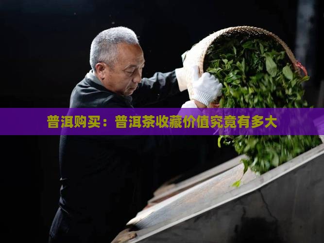 普洱购买：普洱茶收藏价值究竟有多大
