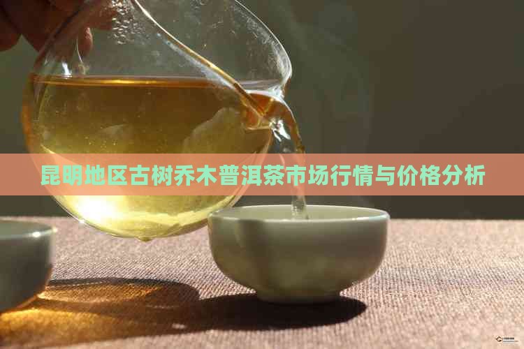 昆明地区古树乔木普洱茶市场行情与价格分析