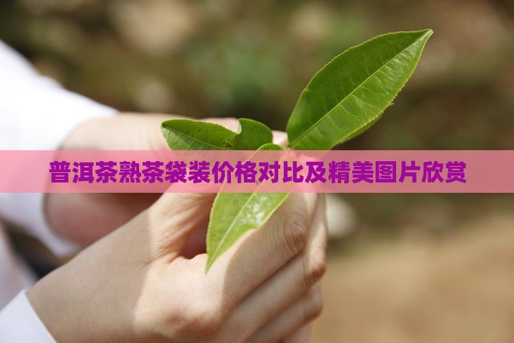 普洱茶熟茶袋装价格对比及精美图片欣赏