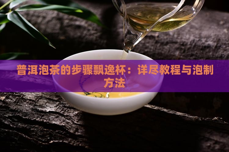 普洱泡茶的步骤飘逸杯：详尽教程与泡制方法