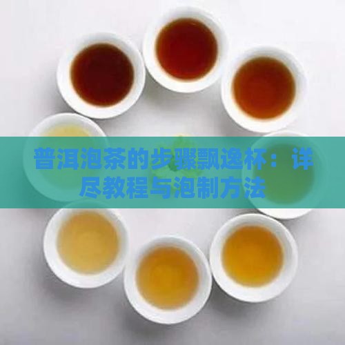 普洱泡茶的步骤飘逸杯：详尽教程与泡制方法