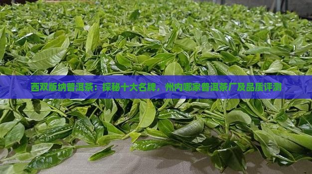 西双版纳普洱茶：探秘十大名牌，州内哪家普洱茶厂及品质评测