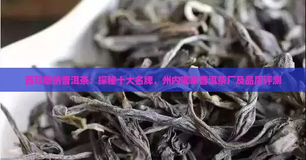 西双版纳普洱茶：探秘十大名牌，州内哪家普洱茶厂及品质评测