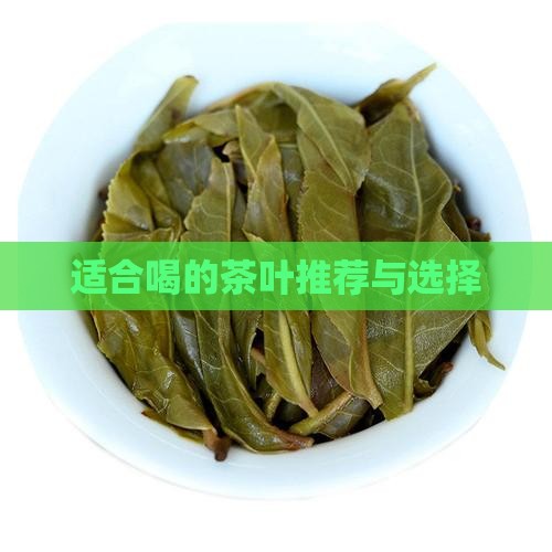 适合喝的茶叶推荐与选择