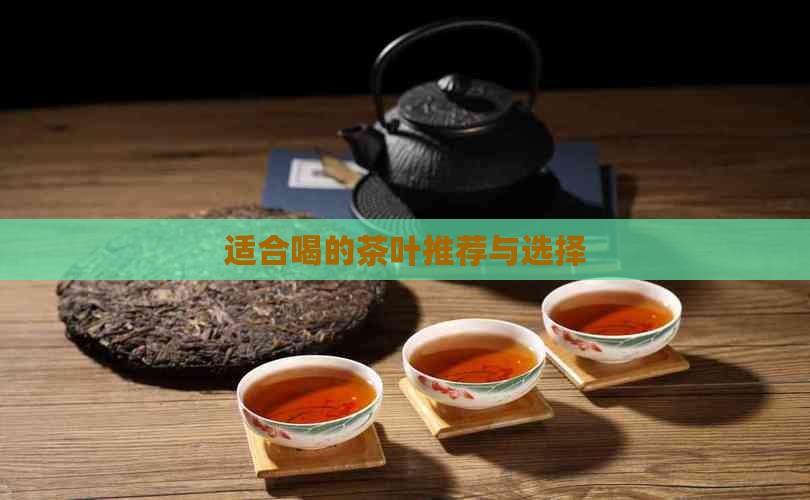 适合喝的茶叶推荐与选择