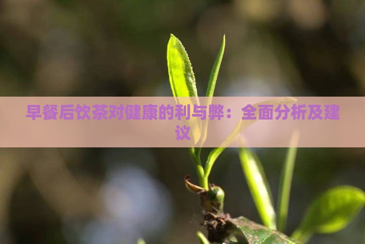 早餐后饮茶对健康的利与弊：全面分析及建议