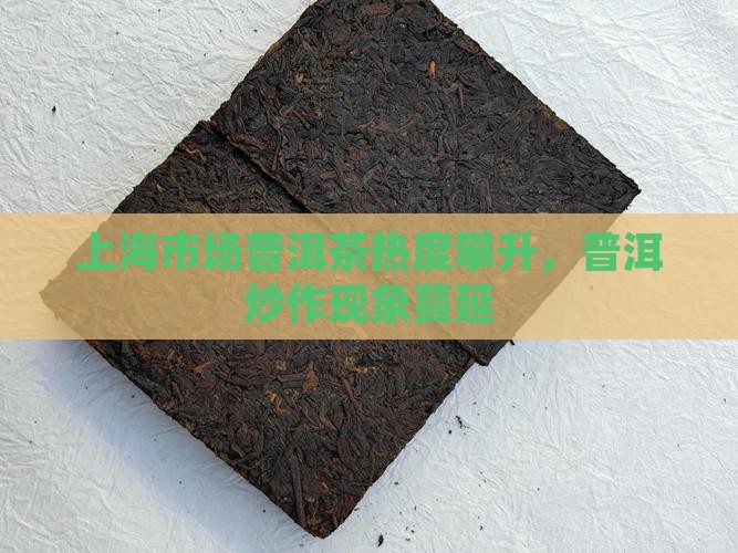 上海市场普洱茶热度攀升，普洱炒作现象蔓延
