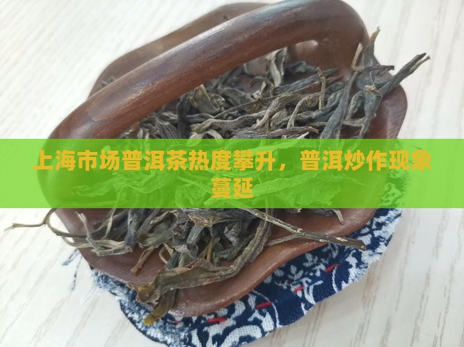 上海市场普洱茶热度攀升，普洱炒作现象蔓延