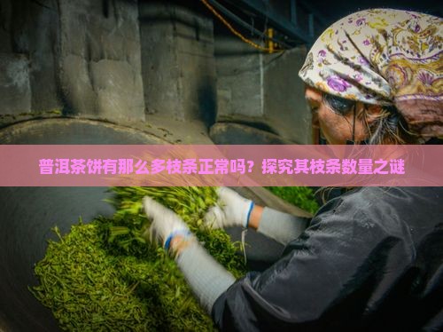 普洱茶饼有那么多枝条正常吗？探究其枝条数量之谜