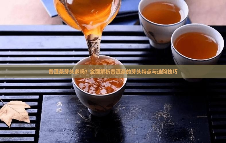普洱茶芽头多吗？全面解析普洱茶的芽头特点与选购技巧
