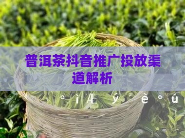 普洱茶抖音推广投放渠道解析