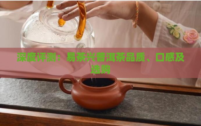 深度评测：易茶兴普洱茶品质、口感及选购
