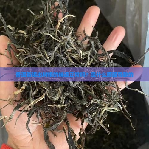 普洱茶喝出树根的味道正常吗？是什么原因导致的
