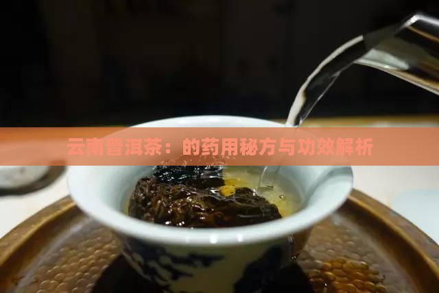 云南普洱茶：的药用秘方与功效解析