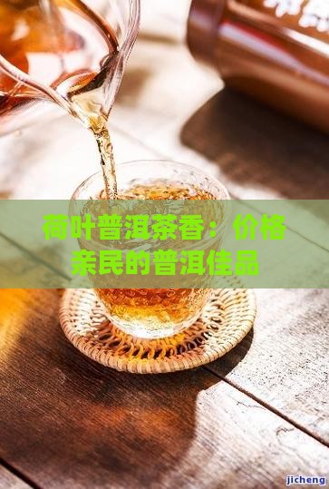 荷叶普洱茶香：价格亲民的普洱佳品