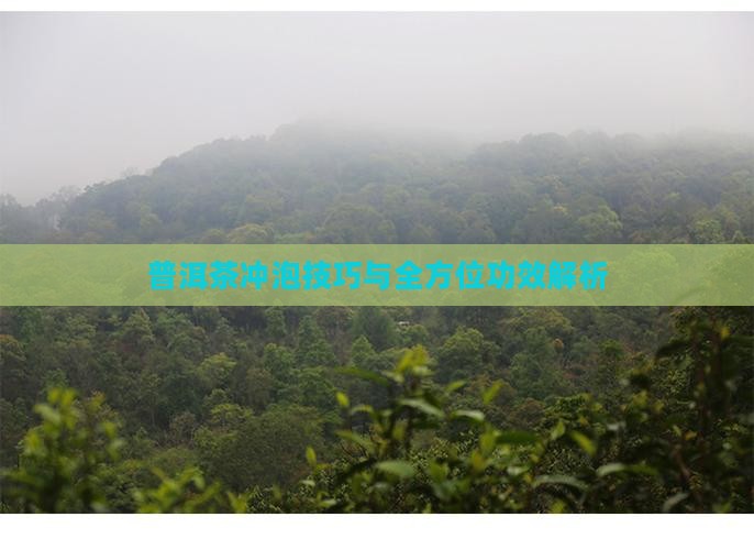 普洱茶冲泡技巧与全方位功效解析
