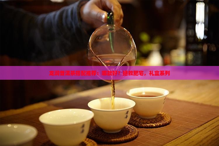 龙润普洱茶搭配推荐：哪款好？拯救肥宅，礼盒系列