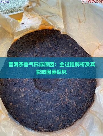 普洱茶香气形成原因：全过程解析及其影响因素探究
