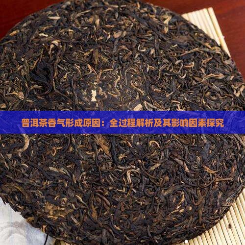 普洱茶香气形成原因：全过程解析及其影响因素探究