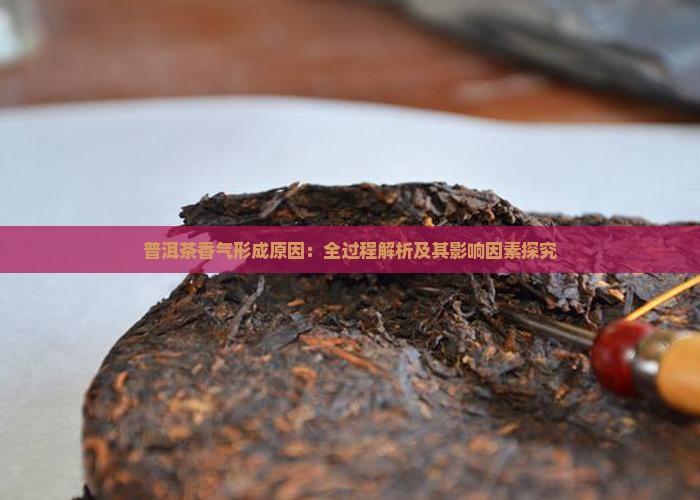 普洱茶香气形成原因：全过程解析及其影响因素探究