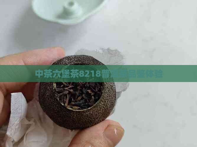 中茶六堡茶8218普洱茶品鉴体验
