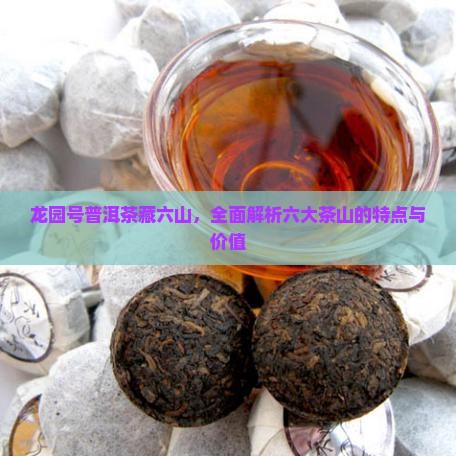 龙园号普洱茶藏六山，全面解析六大茶山的特点与价值