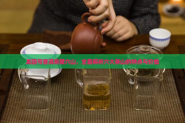 龙园号普洱茶藏六山，全面解析六大茶山的特点与价值