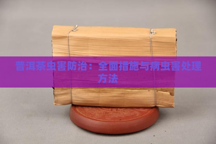 普洱茶虫害防治：全面措施与病虫害处理方法