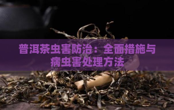普洱茶虫害防治：全面措施与病虫害处理方法