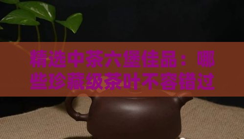 精选中茶六堡佳品:哪些珍藏级茶叶不容错过 精选中茶六堡佳品:哪些珍藏级茶叶不容错过