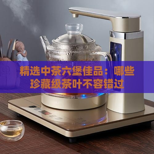 精选中茶六堡佳品:哪些珍藏级茶叶不容错过 精选中茶六堡佳品:哪些珍藏级茶叶不容错过