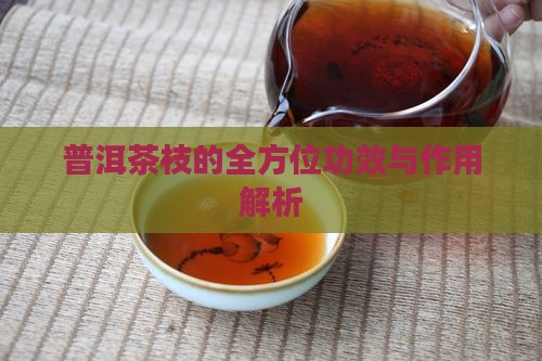 普洱茶枝的全方位功效与作用解析