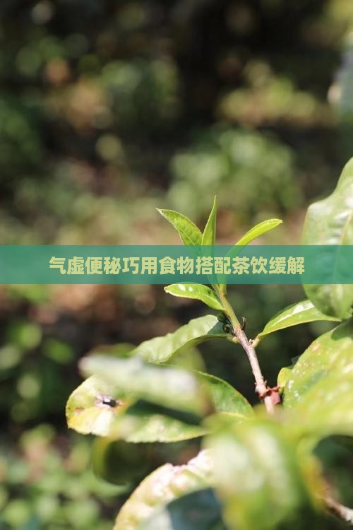 气虚便秘巧用食物搭配茶饮缓解