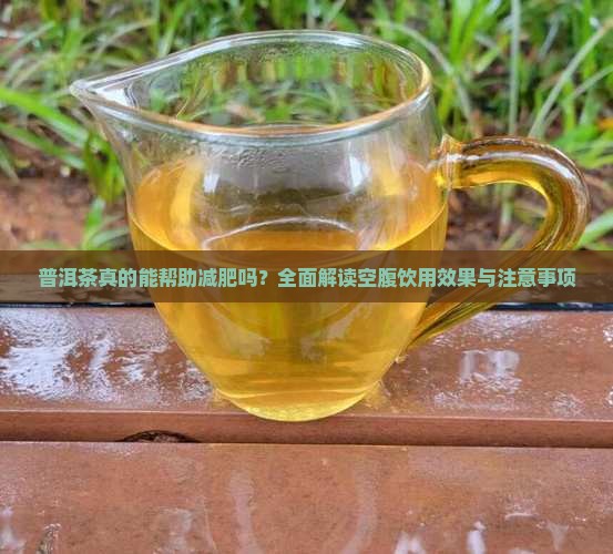 普洱茶真的能帮助减肥吗？全面解读空腹饮用效果与注意事项