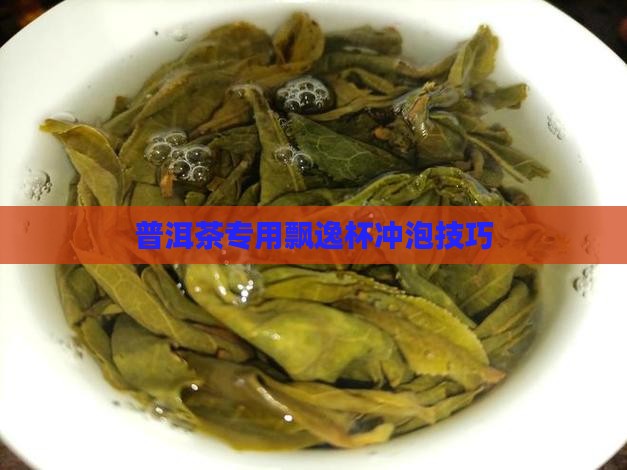 普洱茶专用飘逸杯冲泡技巧