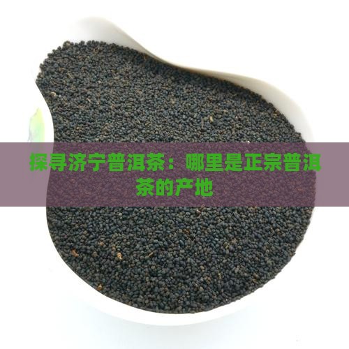 探寻济宁普洱茶：哪里是正宗普洱茶的产地