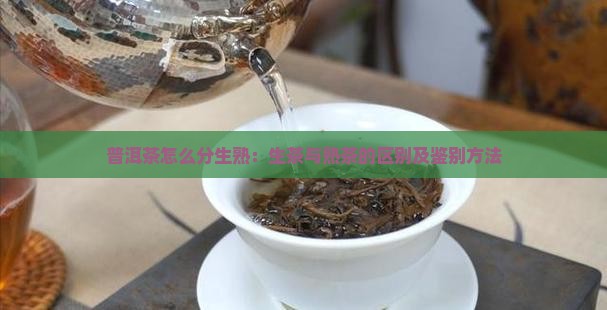 普洱茶怎么分生熟：生茶与熟茶的区别及鉴别方法