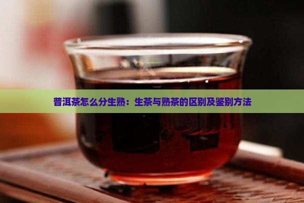 普洱茶怎么分生熟：生茶与熟茶的区别及鉴别方法