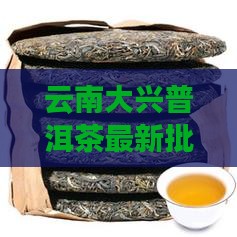 云南大兴普洱茶最新批发报价大全