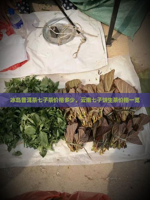 冰岛普洱茶七子茶价格多少，云南七子饼生茶价格一览