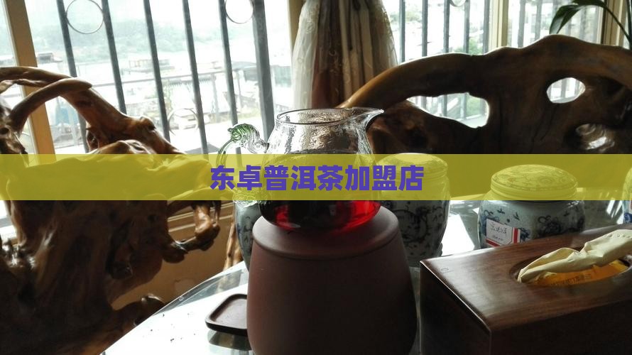 东卓普洱茶加盟店