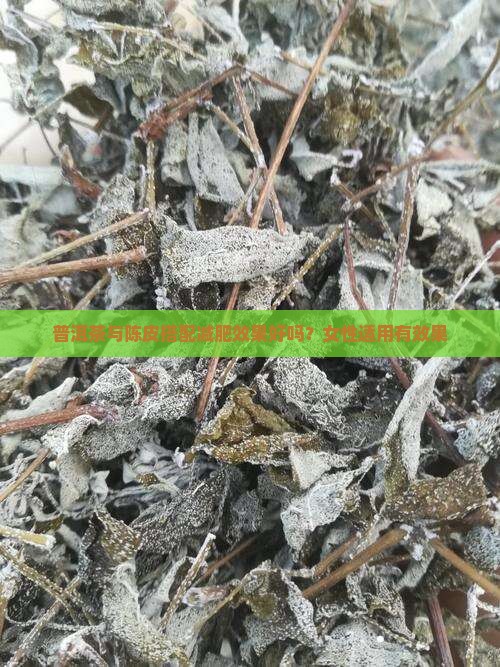 普洱茶与陈皮搭配减肥效果好吗？女性适用有效果