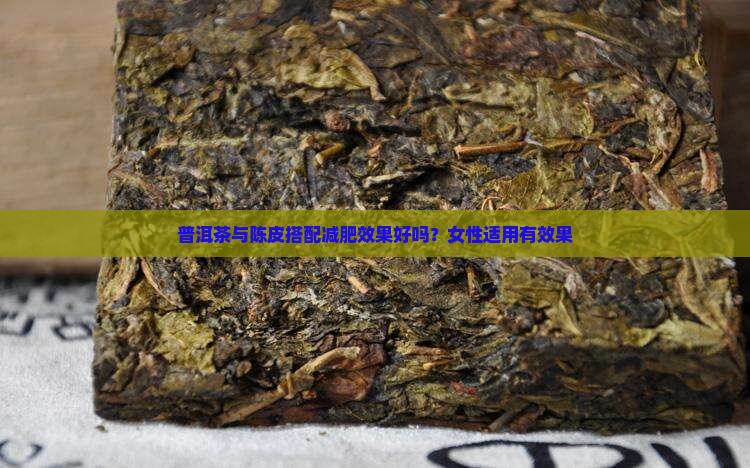普洱茶与陈皮搭配减肥效果好吗？女性适用有效果