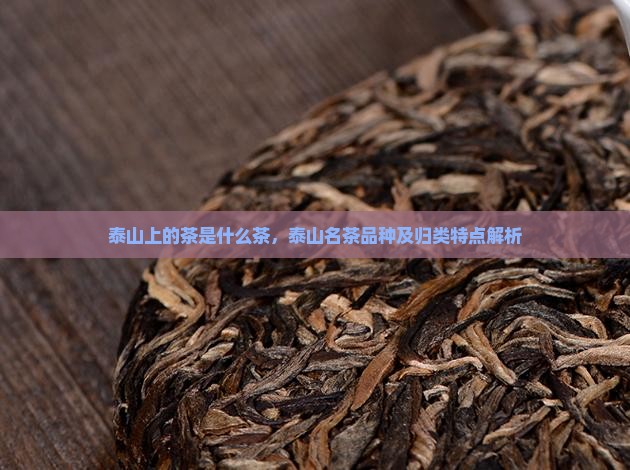 泰山上的茶是什么茶，泰山名茶品种及归类特点解析