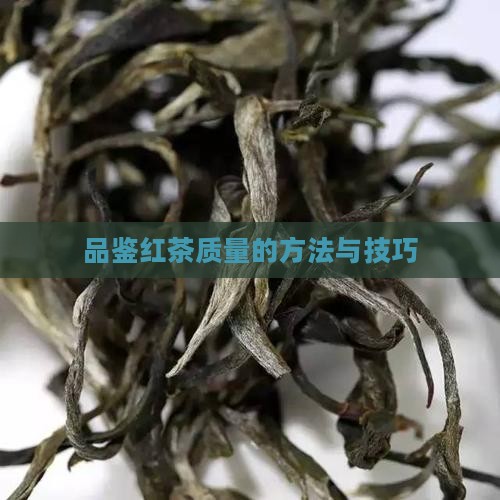 品鉴红茶质量的方法与技巧